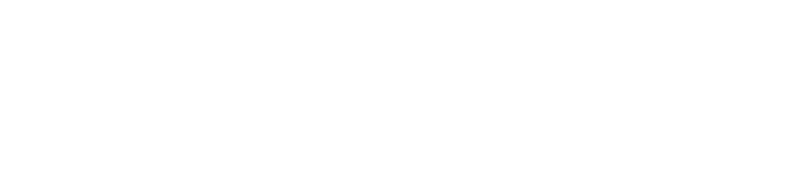 HealthBridge Inc.